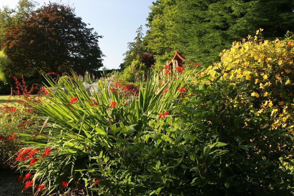 Friars Quarter House B&B Ballinrobe Exterior foto